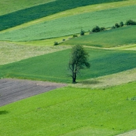 © RWO AG, Dario Seiler
